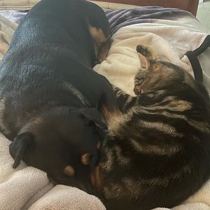 Meet your Posher, Sabrina